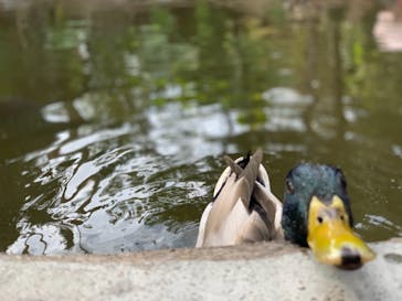 神戸どうぶつ王国に投稿された画像（2020/12/9）