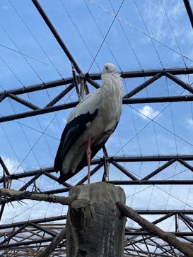 天王寺動物園に投稿された画像（2020/12/9）