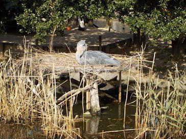 神戸どうぶつ王国に投稿された画像（2020/12/9）