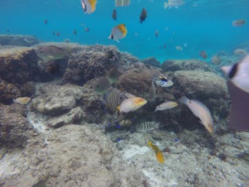 武藤潜水に投稿された画像（2020/12/9）