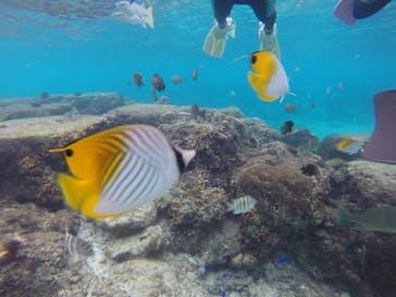 武藤潜水に投稿された画像（2020/12/9）