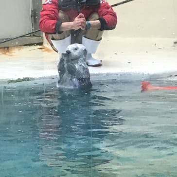 鳥羽水族館に投稿された画像（2020/12/9）