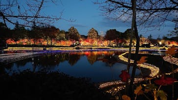 なばなの里に投稿された画像（2020/12/9）