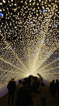 なばなの里に投稿された画像（2020/12/9）