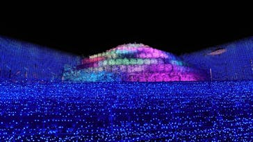 なばなの里に投稿された画像（2020/12/9）