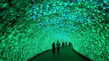 なばなの里に投稿された画像（2020/12/9）