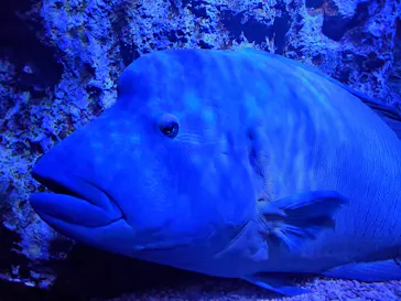 すみだ水族館に投稿された画像（2020/12/9）