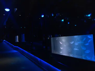 すみだ水族館に投稿された画像（2020/12/9）