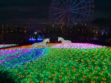 東武動物公園に投稿された画像（2020/12/9）