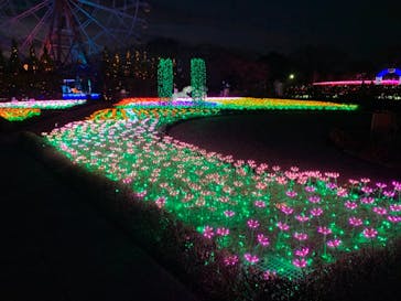東武動物公園に投稿された画像（2020/12/9）