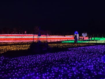東武動物公園に投稿された画像（2020/12/9）