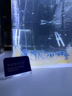 すみだ水族館に投稿された画像（2020/12/9）