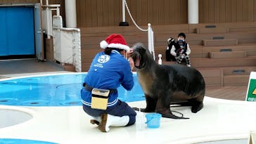 サンシャイン水族館に投稿された画像（2020/12/9）