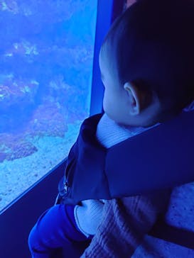 京都水族館に投稿された画像（2020/12/9）