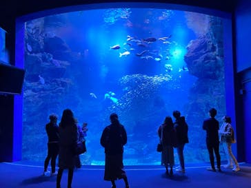 京都水族館に投稿された画像（2020/12/10）