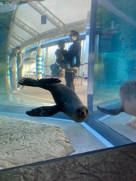 京都水族館に投稿された画像（2020/12/10）