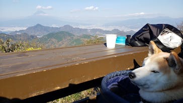 伊豆パノラマパークに投稿された画像（2020/12/10）