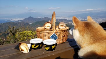 伊豆パノラマパークに投稿された画像（2020/12/10）