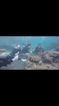 武藤潜水に投稿された画像（2020/12/10）