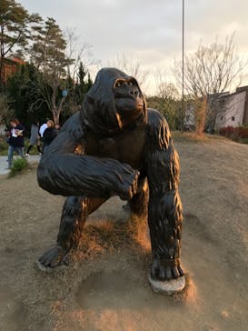 NESTA RESORT KOBE（ネスタリゾート神戸）に投稿された画像（2020/12/10）