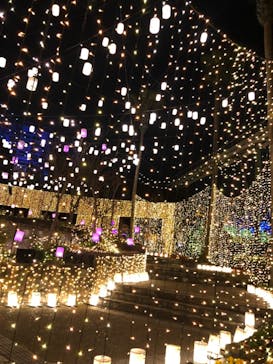 ひらかたパークに投稿された画像（2020/12/10）