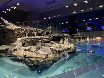 すみだ水族館に投稿された画像（2020/12/10）