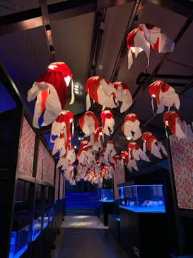 すみだ水族館に投稿された画像（2020/12/10）