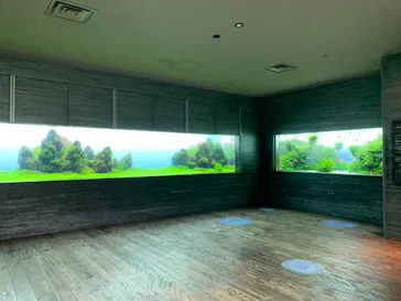 すみだ水族館に投稿された画像（2020/12/10）