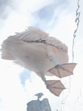 サンシャイン水族館に投稿された画像（2020/12/10）