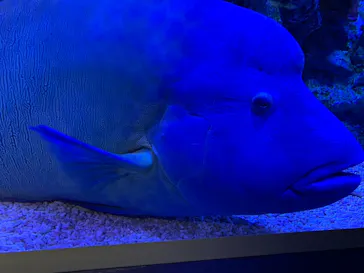 すみだ水族館に投稿された画像（2020/12/10）