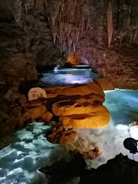 おきなわワールドに投稿された画像（2020/12/10）