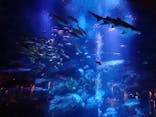 すみだ水族館に投稿された画像（2020/12/10）