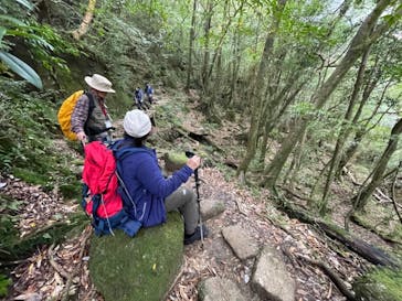 屋久島ガイド21EC-Kに投稿された画像（2020/12/10）