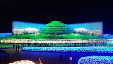 なばなの里に投稿された画像（2020/12/10）