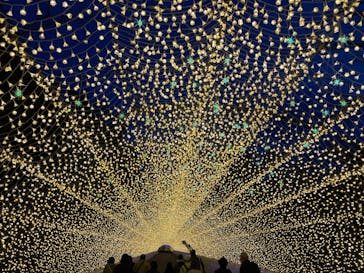 なばなの里に投稿された画像（2020/12/10）