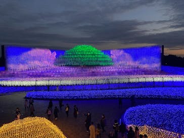 なばなの里に投稿された画像（2020/12/10）