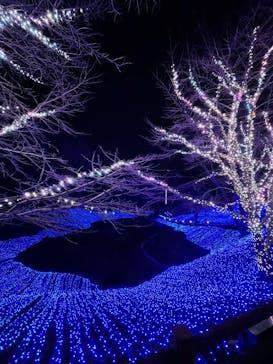 NESTA RESORT KOBE（ネスタリゾート神戸）に投稿された画像（2020/12/11）