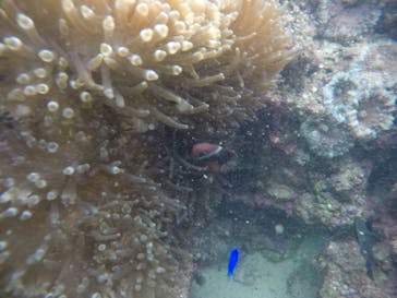 武藤潜水に投稿された画像（2020/12/11）