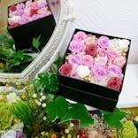 ずこうしつ〜sugamo〜に投稿された画像（2020/12/11）