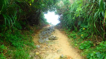 ダイビングショップ Sea Free（シーフリー）に投稿された画像（2020/12/11）