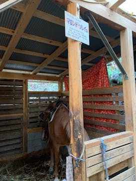 クリオステーブルに投稿された画像（2020/12/11）