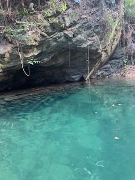 カヌーリゾートたまよどに投稿された画像（2020/12/11）