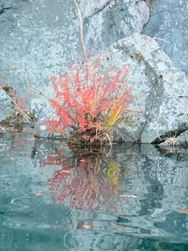 カヌーリゾートたまよどに投稿された画像（2020/12/11）