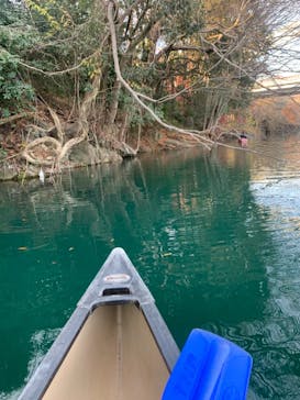 カヌーリゾートたまよどに投稿された画像（2020/12/11）