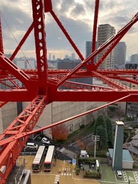 東京タワーに投稿された画像（2020/12/11）