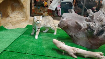 那須どうぶつ王国に投稿された画像（2020/12/11）