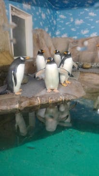 那須どうぶつ王国に投稿された画像（2020/12/11）