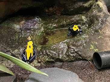サンシャイン水族館に投稿された画像（2020/12/11）