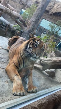 神戸どうぶつ王国に投稿された画像（2020/12/11）