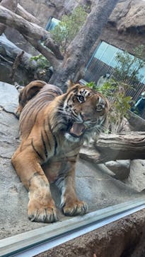 神戸どうぶつ王国に投稿された画像（2020/12/11）